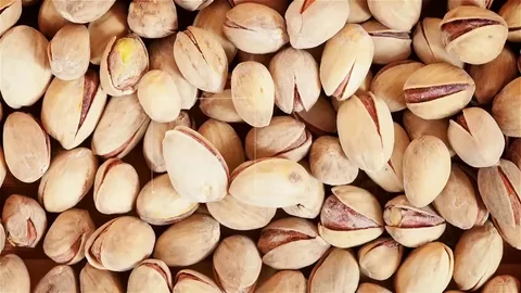 تصویر 5 از خرید پسته زعفرانی گلستان + قیمت فروش استثنایی
